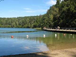 Апартаменты B Apartment in Vilnius Вильнюс Апартаменты с 1 спальней-51